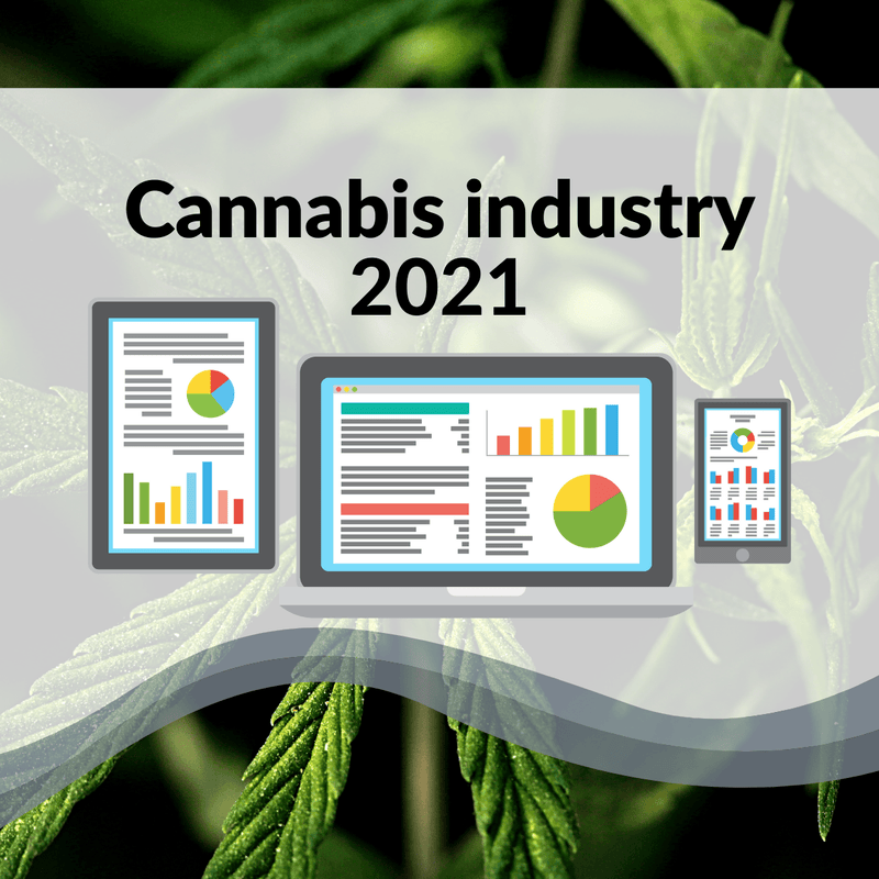 The biggest challenges Cannabis 2021 - Zetla